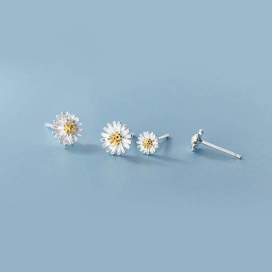 Daisy Aretes