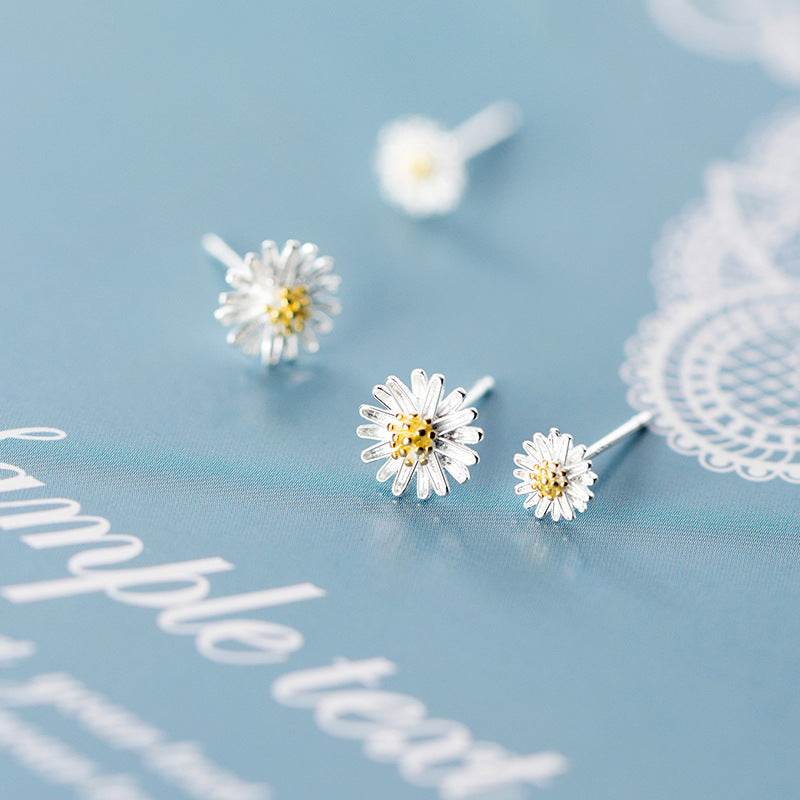 Daisy Aretes